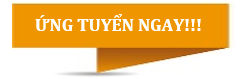 Ứng Tuyển Ngay!!!